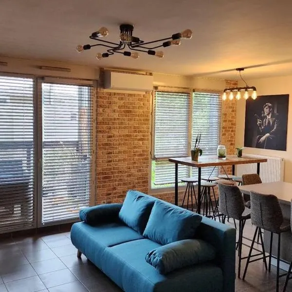 Appartement Voie Lactée Lyon, hotel in Lyon