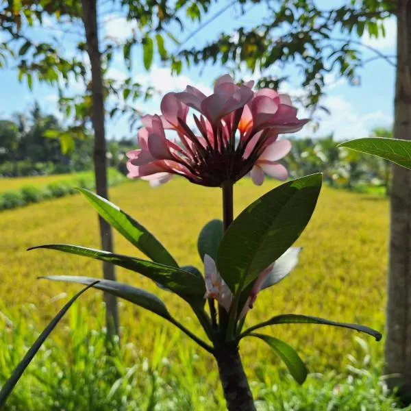 Bunga Maliq Bungalow Lombok: Tetebatu şehrinde bir otel