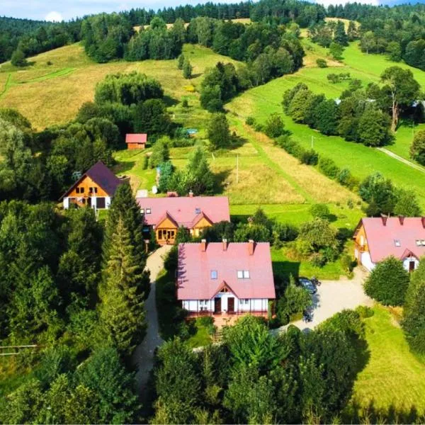 Rezydencja Bukowy Dwór, hotel in Czarna