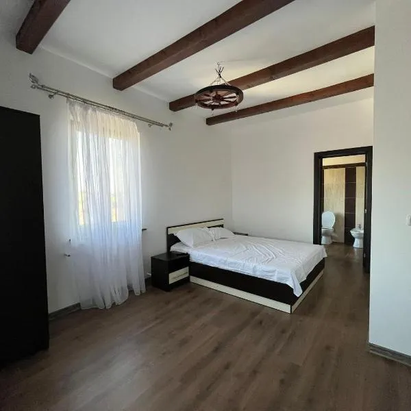 Pensiunea La Conac, Hotel in Bîrlad