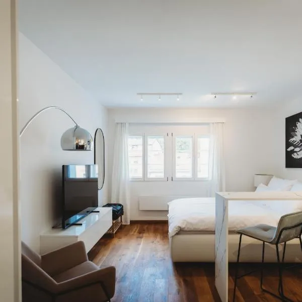Romantic JUMP Studio overlooking river, free parking, hotel in Ljubljana