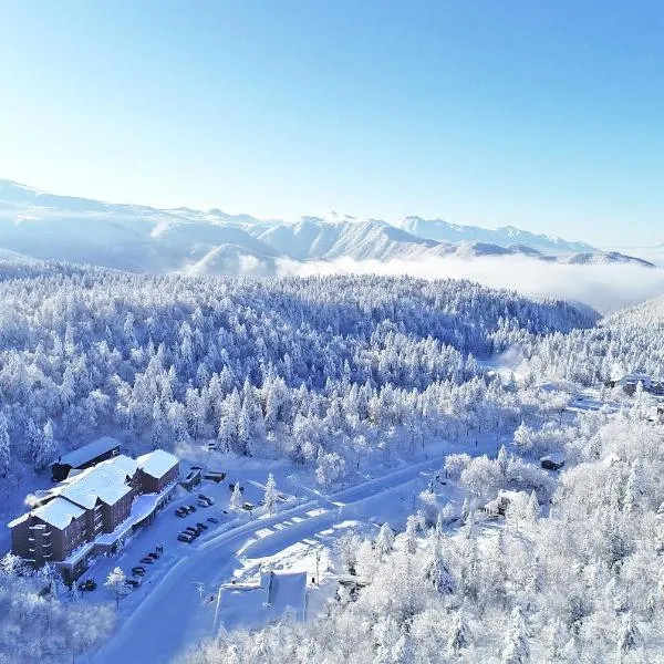 Higashikawa Asahidake Onsen Hotel Bear Monte、東川町のホテル