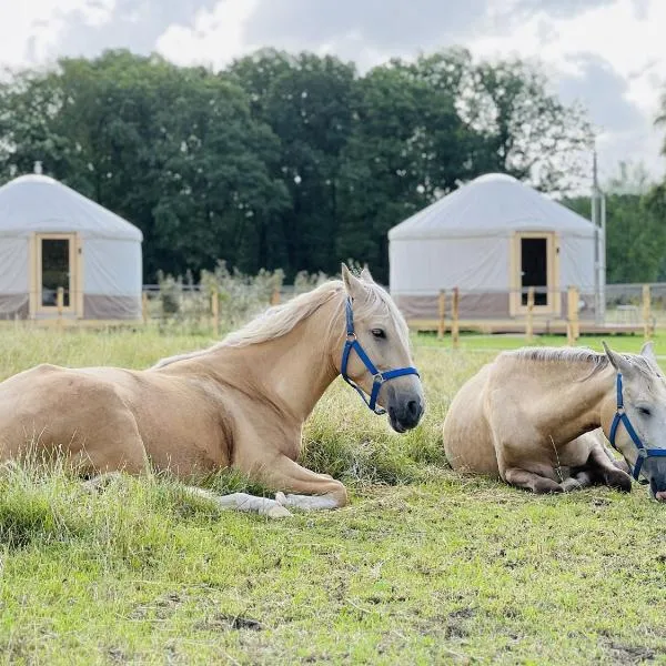 Magnolia Hoeve - Unieke Bestemming voor Paardenliefhebbers en Bijzondere Overnachtingen in de natuur, hotel in Ledeacker