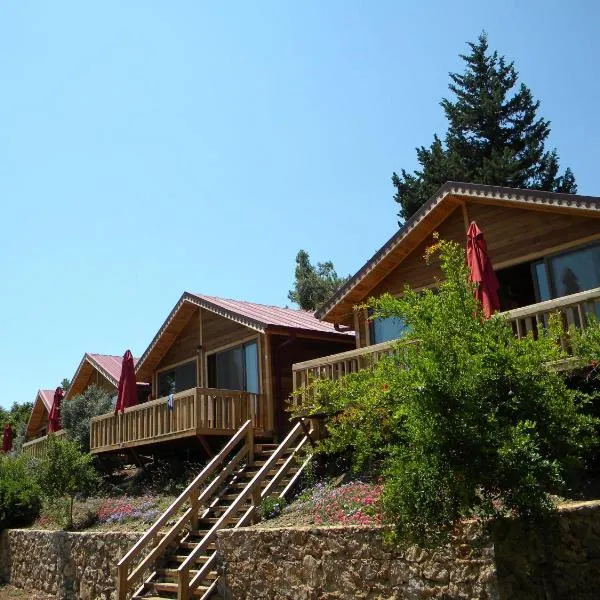 Azra Villas, hôtel à Çıralı