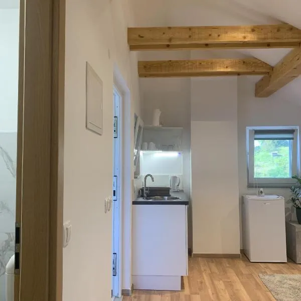 Apartment Teja, hotel in Brezovec