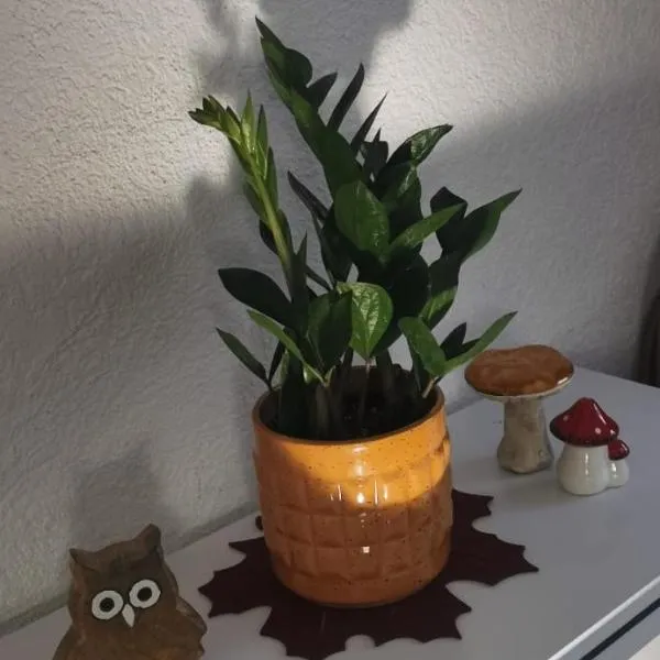 ruhige Sout. Whg. Feldrandnähe, hotell sihtkohas Seligenstadt