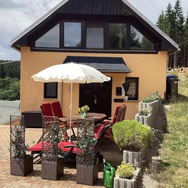 Ferienhaus Wernesgrün, hotel in Wernesgrün