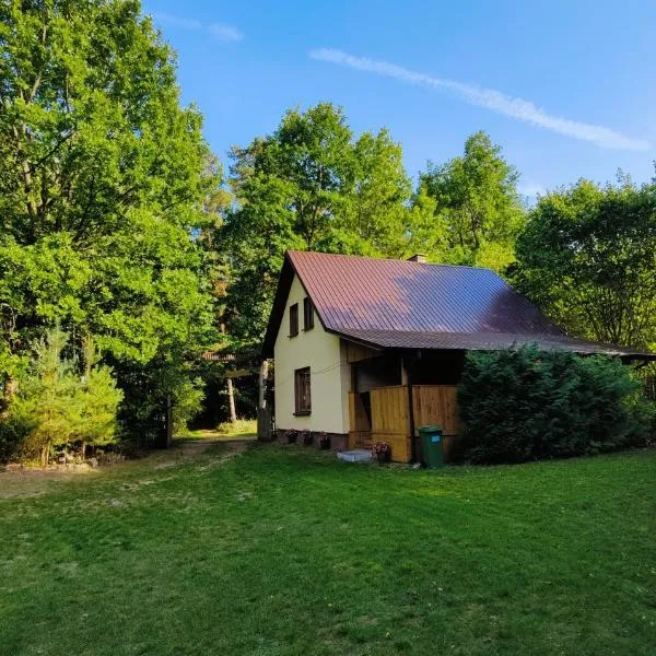 Wilcza Jama, hotel in Downary-Plac