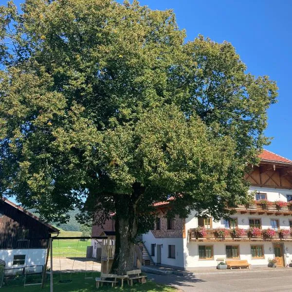 Biohof-Feichtinger，位于沼泽附近策尔的酒店