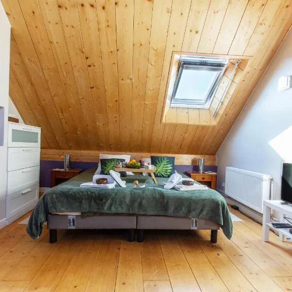 Chalet Like Upstairs Private Suite, hotel in Étiolles