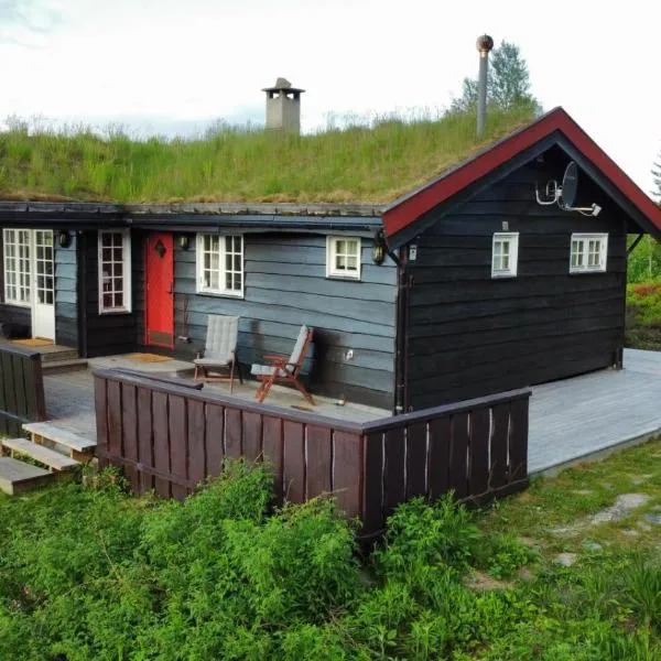 Middagslia - cabin at Skrim with amazing view, Hotel in Omholt