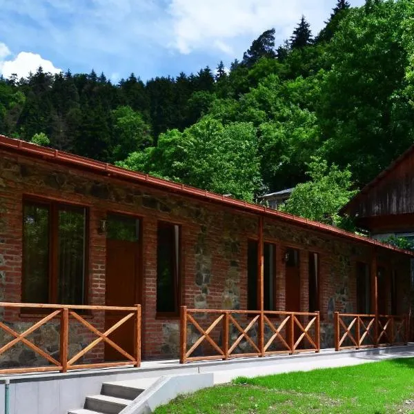 Borjomi Cottages, ξενοδοχείο σε Borjomi