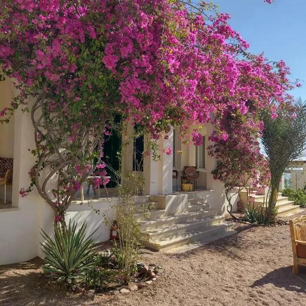 Marine Garden Camp, hotel in Dahab