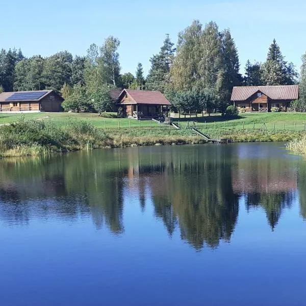 Vila Mera, hotel u gradu 'Pabradė'