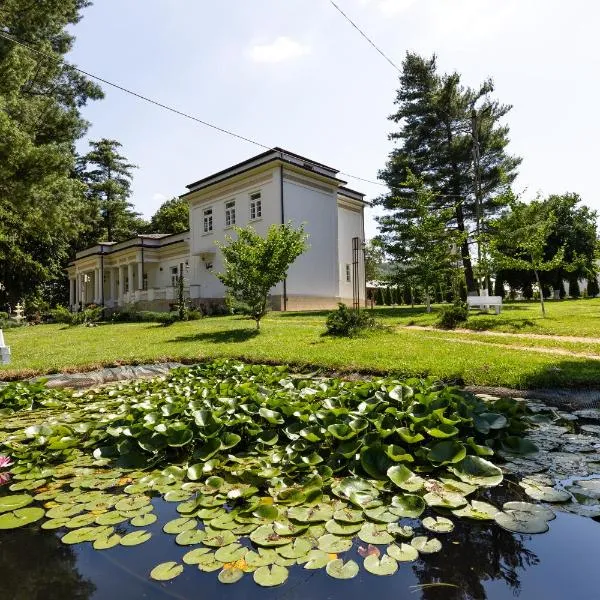 Conacul Buzdugan，Valea Mică的飯店