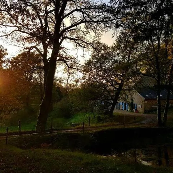 gîte le Ranch de Vassiviére, hotel in Royère-de-Vassivière