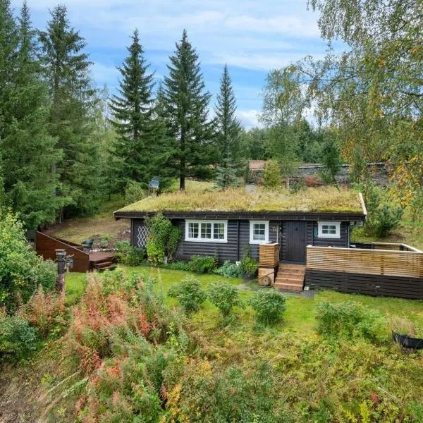 Gaulabua - cozy cabin by the river Gaula, hôtel à Haltdalen