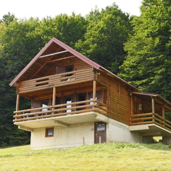 Villa Forestside, hotell sihtkohas Plužine