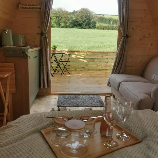Y Nyth - The nest, hotel i Bridgend