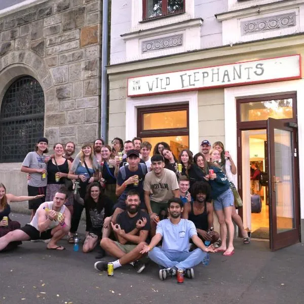 Wild Elephants Hostel, hotell i Bratislava