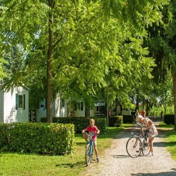 La pépite Rose d'Europapark, hotel in Boofzheim