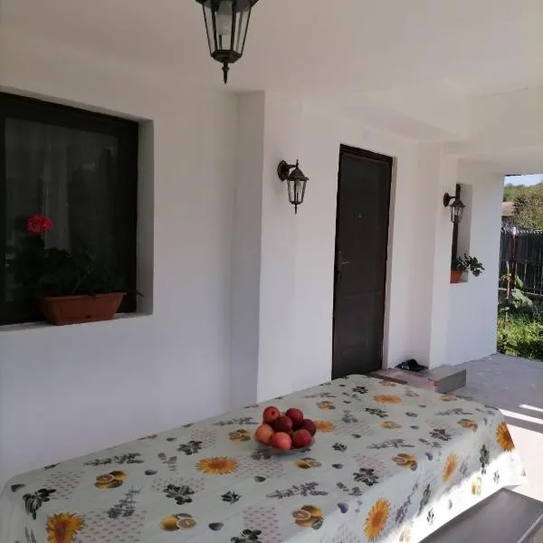 Casa Michel, hôtel à Măciuceni