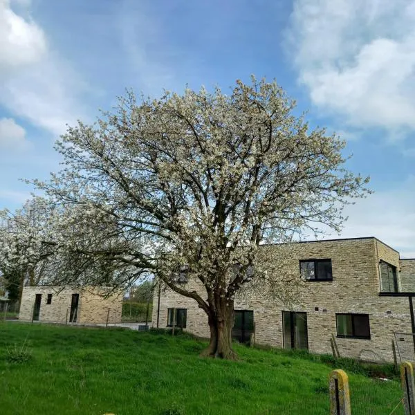 De Molenlos, Hotel in Zottegem