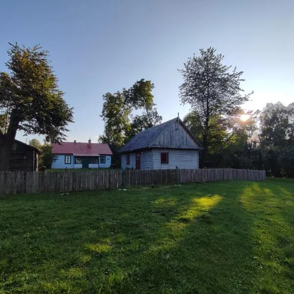 Roztoczańska Derylówka, domki na Roztoczu, hôtel à Potoczek