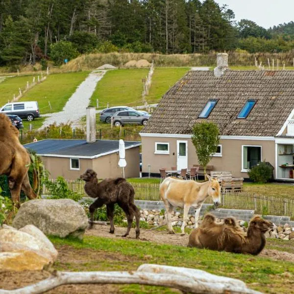 Ree Park Safari, hotel en Ebeltoft