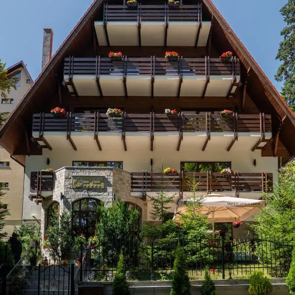 Opus Villa, hotel v destinaci Sinaia