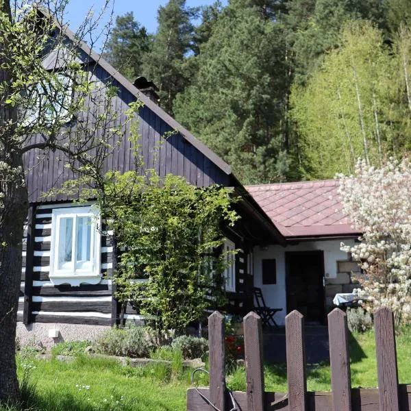 Ubytování Roubenka, hotel in Koberovy