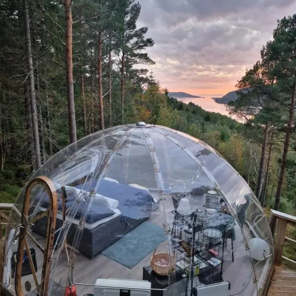 Sørfjorden Eye Iglo - Fosen、Husbyのホテル