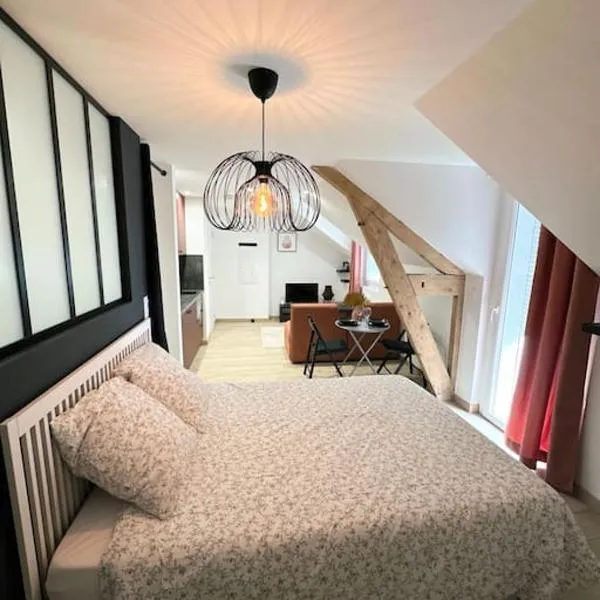 /Sacré studio/Parking privé/Wifi, hotel in Rodez