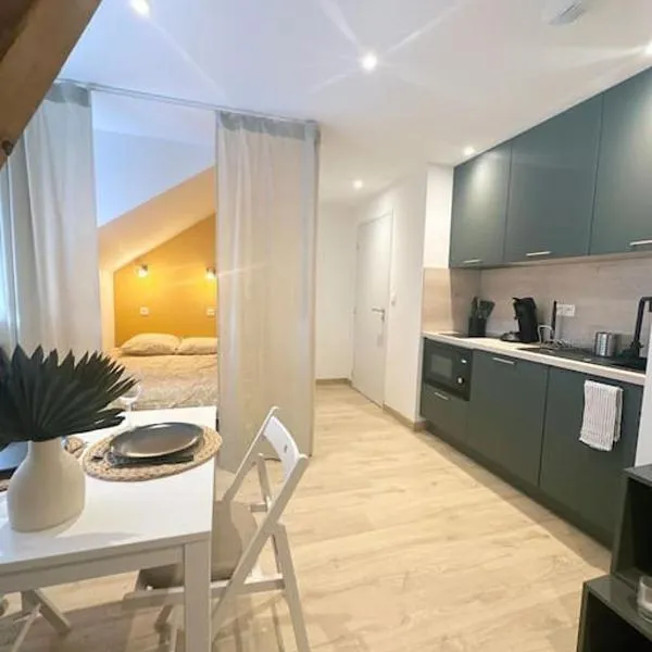 / /Sacré studio/ /wifi/ /parking privé, hotel v destinaci Rodez