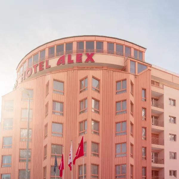 Hotel Alex Business & SPA, Hotel in Naters