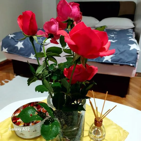 Apartman PAVLE, hotel in Plužine