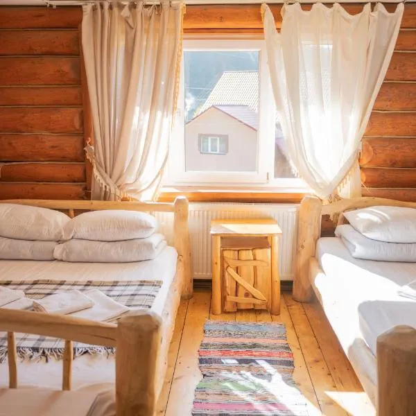 Будинок Художника, ξενοδοχείο σε Synevyrsʼka Polyana