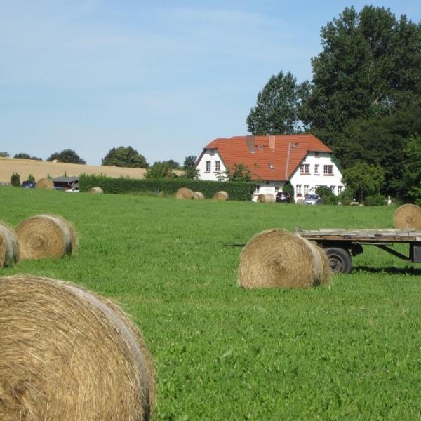 Landhaus Alt Reddevitz