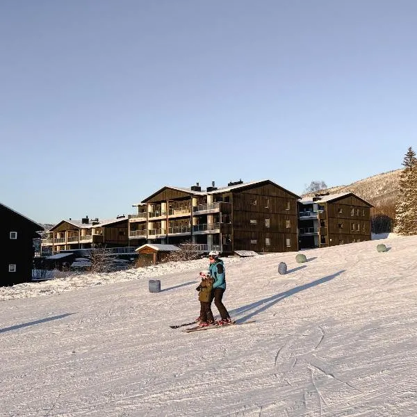 Hafjelltunet,位于哈山的酒店