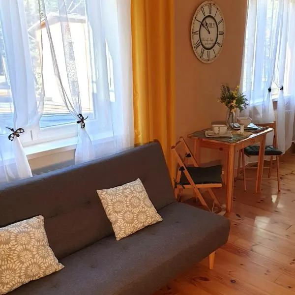 Apartmán CENTRAL, self check in 24 h, free parking, hotel din Banská Bystrica