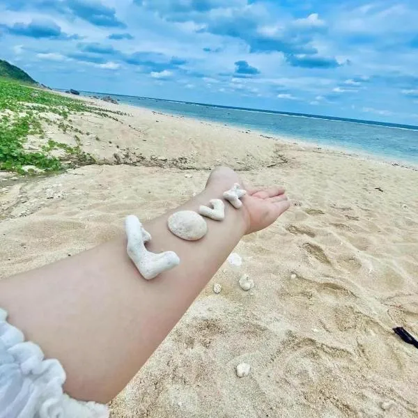 The Ritz Okinawa Kise 2-Free parking for 2, 3LDK, 2 bathrooms，名護的飯店