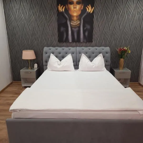 Casa Petcu、クラヨーヴァのホテル