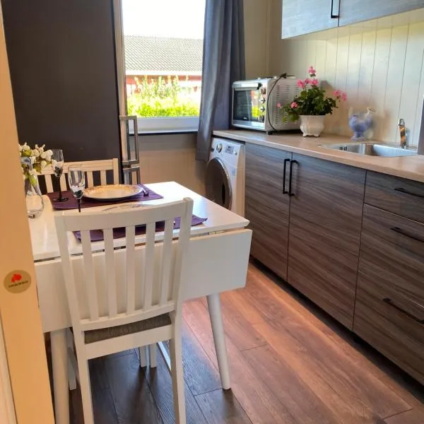 comfortable apartment in a quiet area in the city center, hotel v destinaci Skien