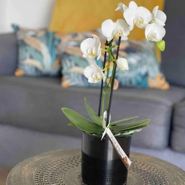 La Casa di Maria - Gîte 2 à 4 personnes, ξενοδοχείο σε Lespesses