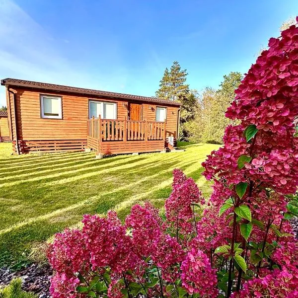 Bungalow Camping Bieska Osada, hotell i Solina