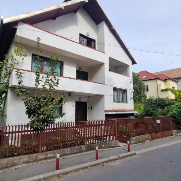 Flava Hostel, hotel in Cluj-Napoca