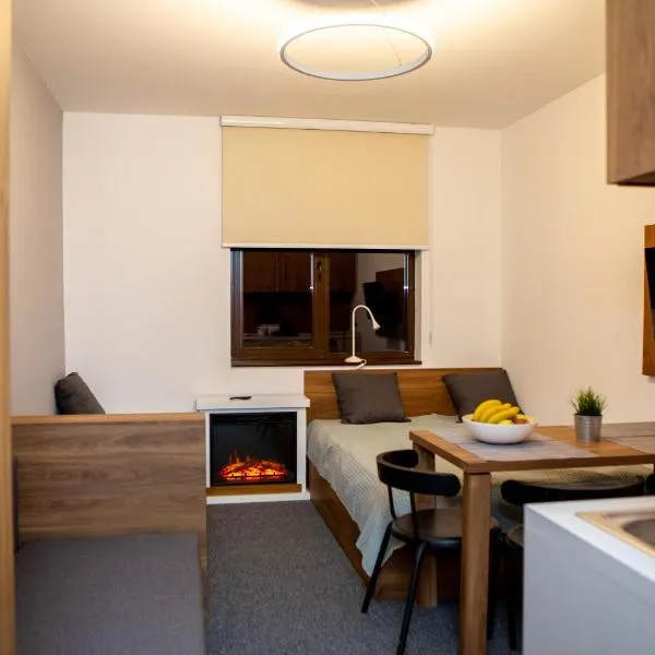 Ramonda apartman Vila Bela Reka 50m from Gondola - free parking acces, ξενοδοχείο σε Brzeće