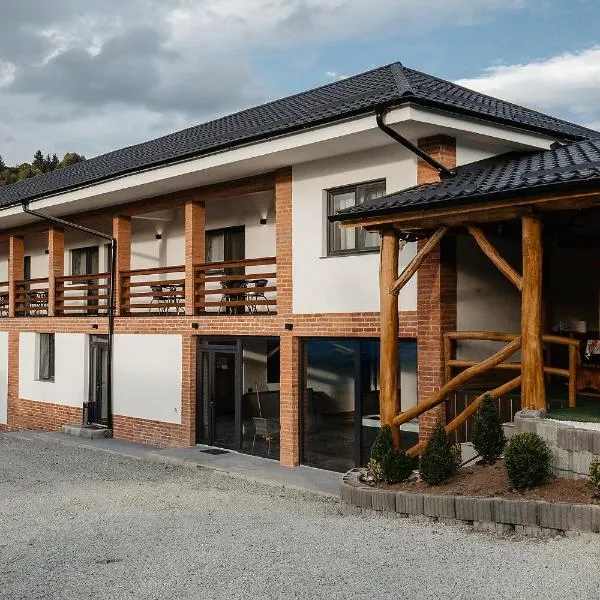 Pensiunea VOX, hotel in Moisei