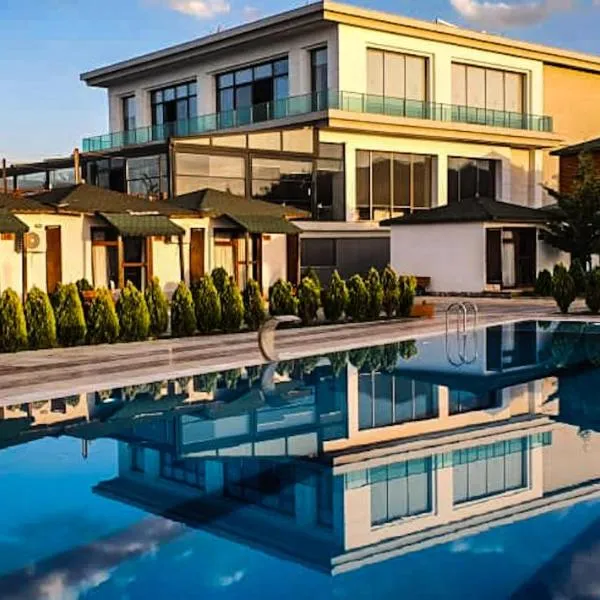 Dedeman Van Resort & Aquapark, hotel in Van