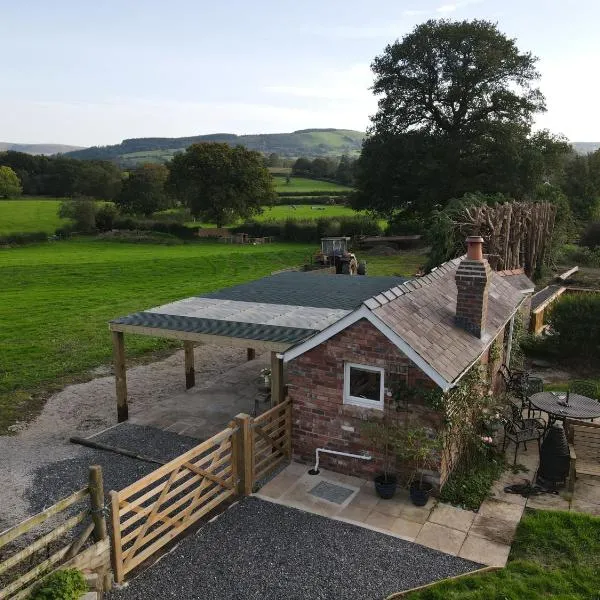 Romantic country cabin with log burner, spectacular views, spa hot tub - Brecon Beacons National Park, ξενοδοχείο σε Llangadog